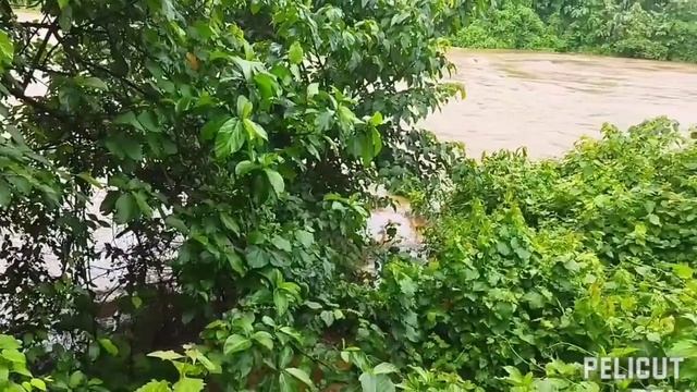 chi dala ia bilseni sikanggipa, water flat pany barha hua смотреть онлайн