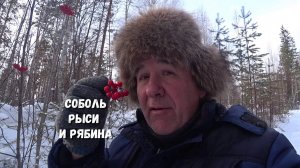 РЫСИ ЧИСТЯТ ПУТИК НЕ ПЕРВЫЙ РАЗ. СОБОЛЬ ЕСТЬ!!! РЯБИНА ДЛЯ РЯБЧИКА.