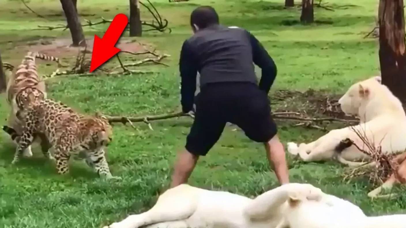 Когда животные заступаются смотреть онлайн