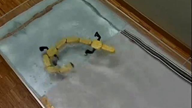 Salamandra Robotica смотреть онлайн