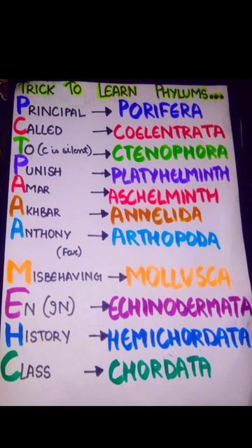 Trick to learn phylums of animal kingdom in 10 seconds. #easy смотреть онлайн
