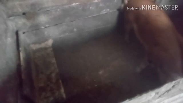 Житейские дела!)) смотреть онлайн