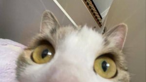 Играем! ыыыыыыыыыыыыыыыыыыыыыыыыыыыы