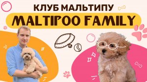 Клуб Мальтипу Maltipoo Family