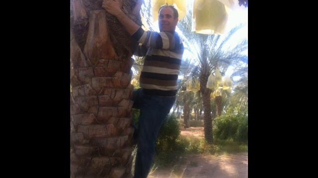 ♠Cheb Arres 2015◄♫Haya Nzoro Annebia♫► Bar Rando◄Ain Abessa♠ смотреть онлайн