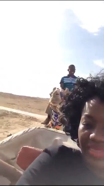 Giza Pyramids Camel Ride смотреть онлайн