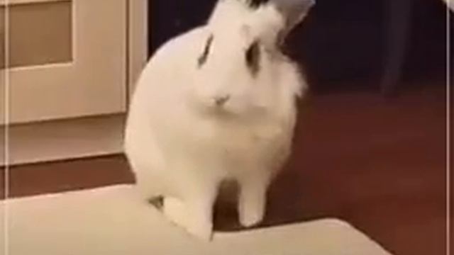 cuando yamas a tu mama смотреть онлайн