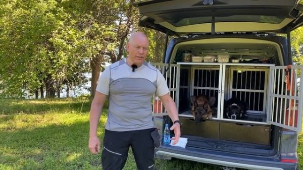 Как мотивировать собаку к сотрудничеству?