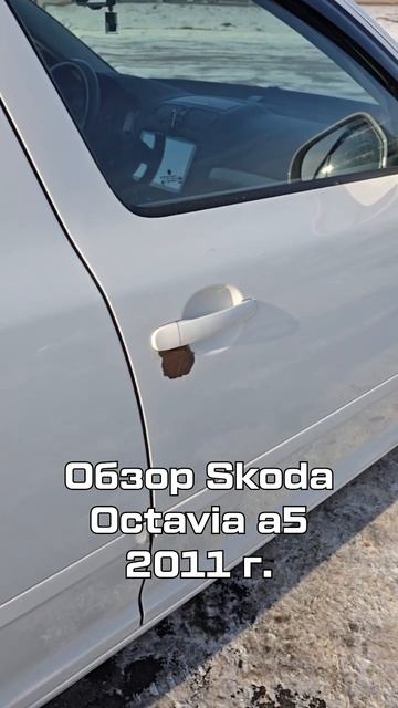 Октавия А5 2011 г. ЗАРЖАВЕЛА / VAG разваливается! смотреть онлайн