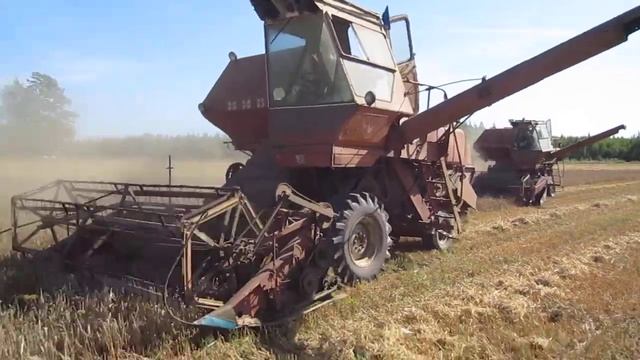 Year 2019 НИВА CK-5, CK5, CK 5 НИВА, CK 5 NIVA смотреть онлайн