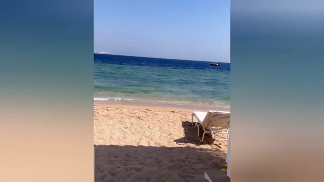 ХОНАНДА СЕВИНЧ КИЗАЛОГИ ЛЕЙЛА БИЛАН ЕГИПЕТДА смотреть онлайн