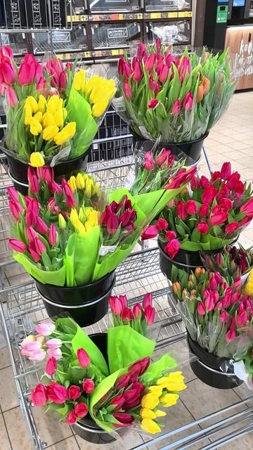 Цены на тюльпаны. Живые цветы #тюльпаны #ценынацветы #8марта #весна #скоровесна #14февраля #весенние смотреть онлайн