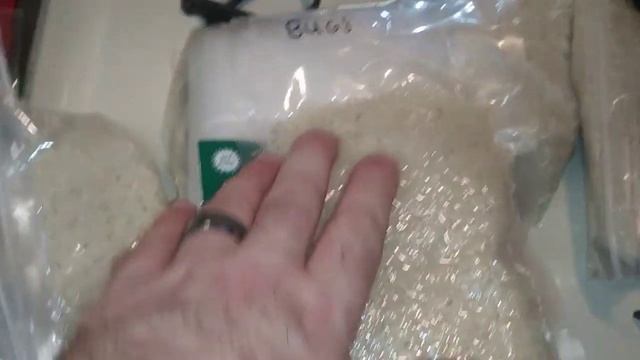 Weevil in your preps смотреть онлайн
