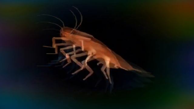 Сумасшедший таракан смотреть онлайн