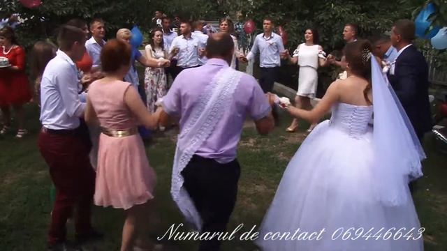 Vitali Arion Lautari la nunta ta 069446643 смотреть онлайн