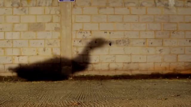 Злые утки смотреть онлайн