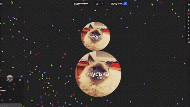 Муська в Agar.io смотреть онлайн