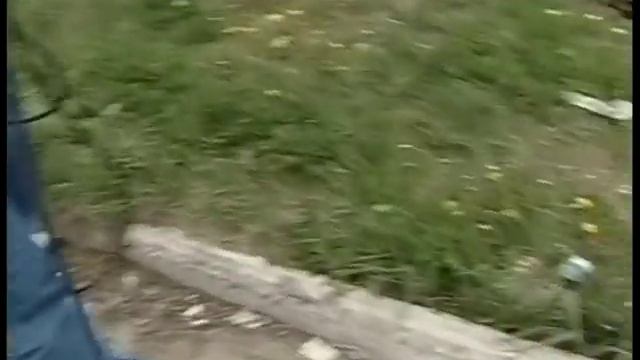Оперативные новости 14.00_05 июня смотреть онлайн