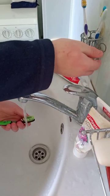 Попугай умывается и весело щебечет!☺️ смотреть онлайн