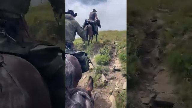 Места обитания кавказского тетерева. смотреть онлайн