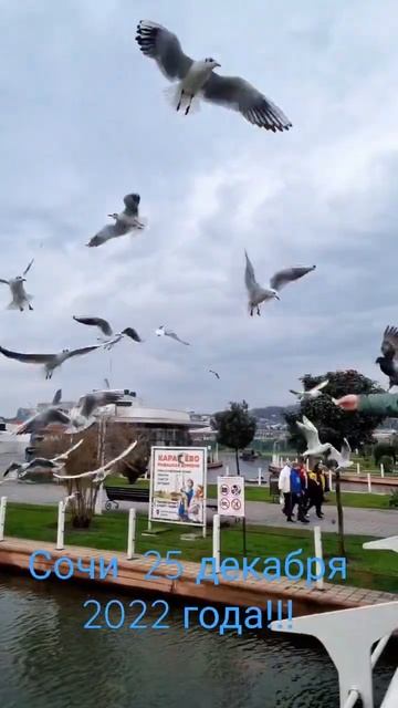 Спасибо большое дорогая моя любимая доченька!#подарки #сочи2022# смотреть онлайн