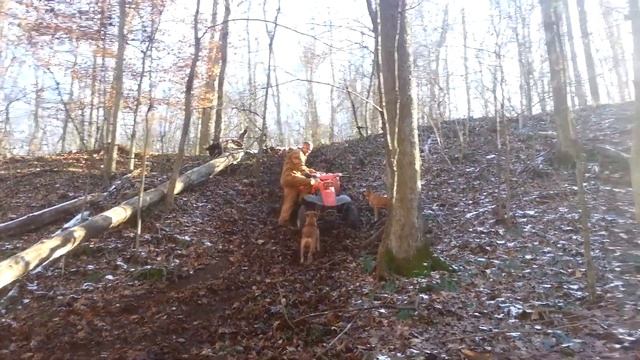 300 ex and grizzly 600 hill claim смотреть онлайн