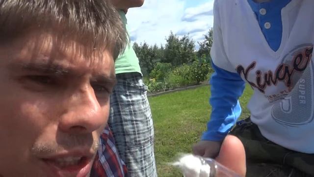 Муравьиные матки: руководство по содержанию смотреть онлайн