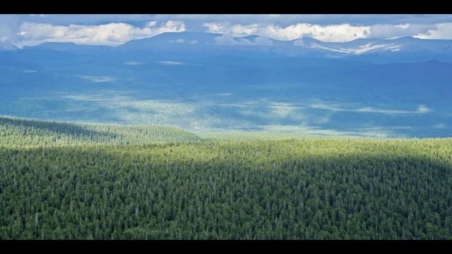 Бескрайняя тайга окутала меня и русская душа