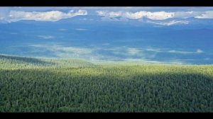 Бескрайняя тайга окутала меня и русская душа