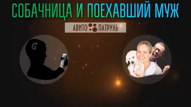 Собачница и ее поехавший муж | АВИТО-ПАТРУЛЬ смотреть онлайн