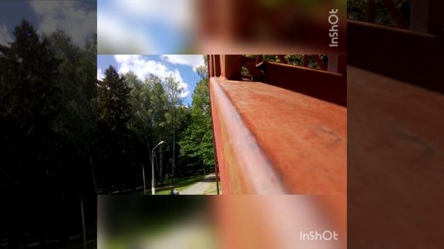 У гнезда горихвостки смотреть онлайн