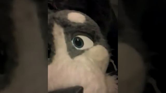 I need to pee in that -Yo Yos point of view ( Anthrocon 2014 ) смотреть онлайн