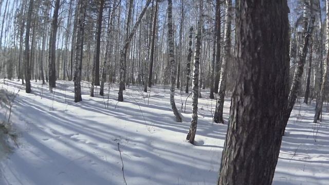 Сноубайк может! смотреть онлайн