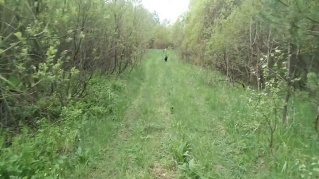Ищу щавель смотреть онлайн