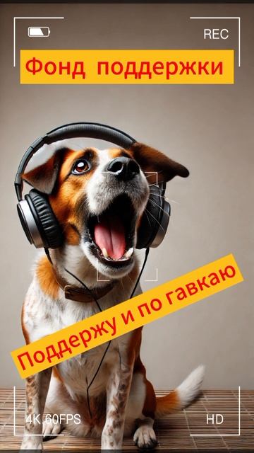 Фонд поддержки от мошенника смотреть онлайн