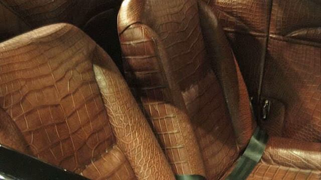 interior crocodile alligator full song смотреть онлайн