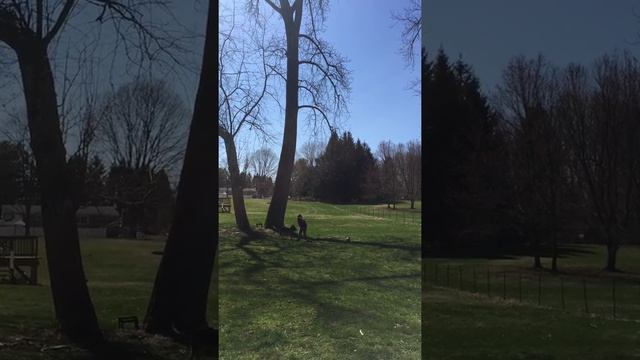 The Woodsman Workout (Part 1- Log Walk) смотреть онлайн
