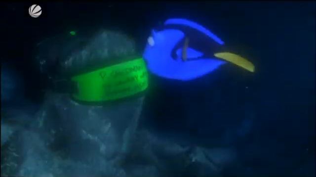 Findet Nemo Ein Licht ... смотреть онлайн