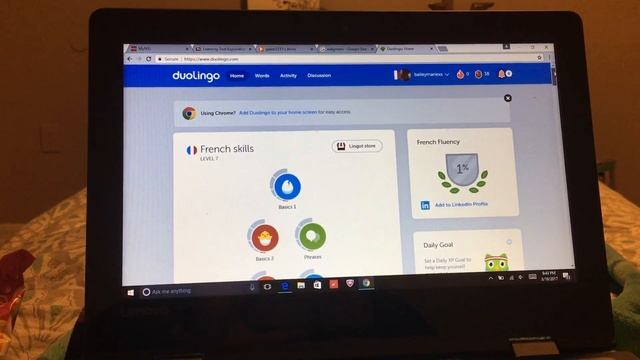 Duolingo Screencast смотреть онлайн