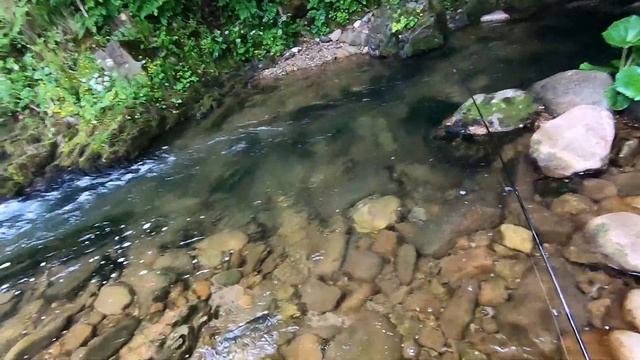 TROUT FISHING WITH RAPALA ORIGINAL FLOATER смотреть онлайн