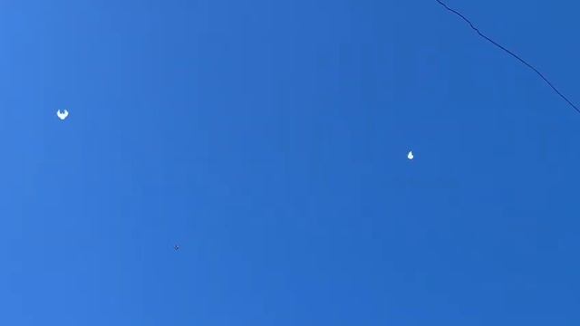 23 января 2024 г. смотреть онлайн