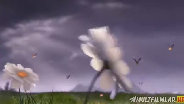 Ajdar Uyi 1 Juda Gam Ajoyib Multfilm