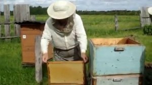 Искусственное роение по методу Сименса