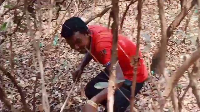 Jongle tiger king new Ho Munda video 2021 смотреть онлайн