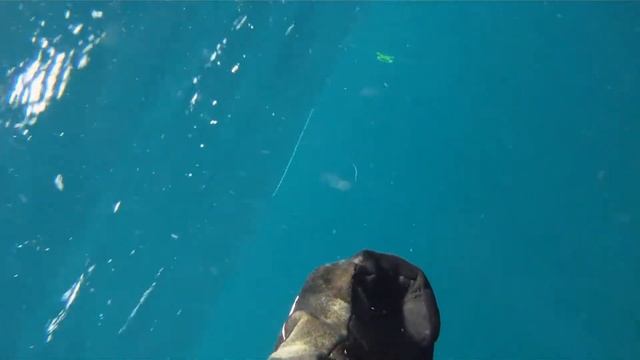Spearfishing barracuda 8.5 kg in Thailand смотреть онлайн