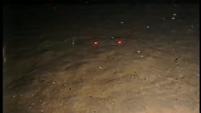 Cancer crab смотреть онлайн