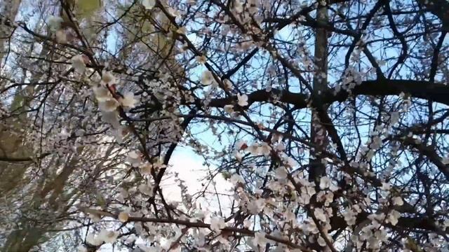Фото, которые ТЫ точно СМОЖЕШЬ повторить! смотреть онлайн
