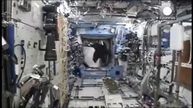 Astronaut Smuggled A Full Gorilla Suit In International Space Station #shorts смотреть онлайн