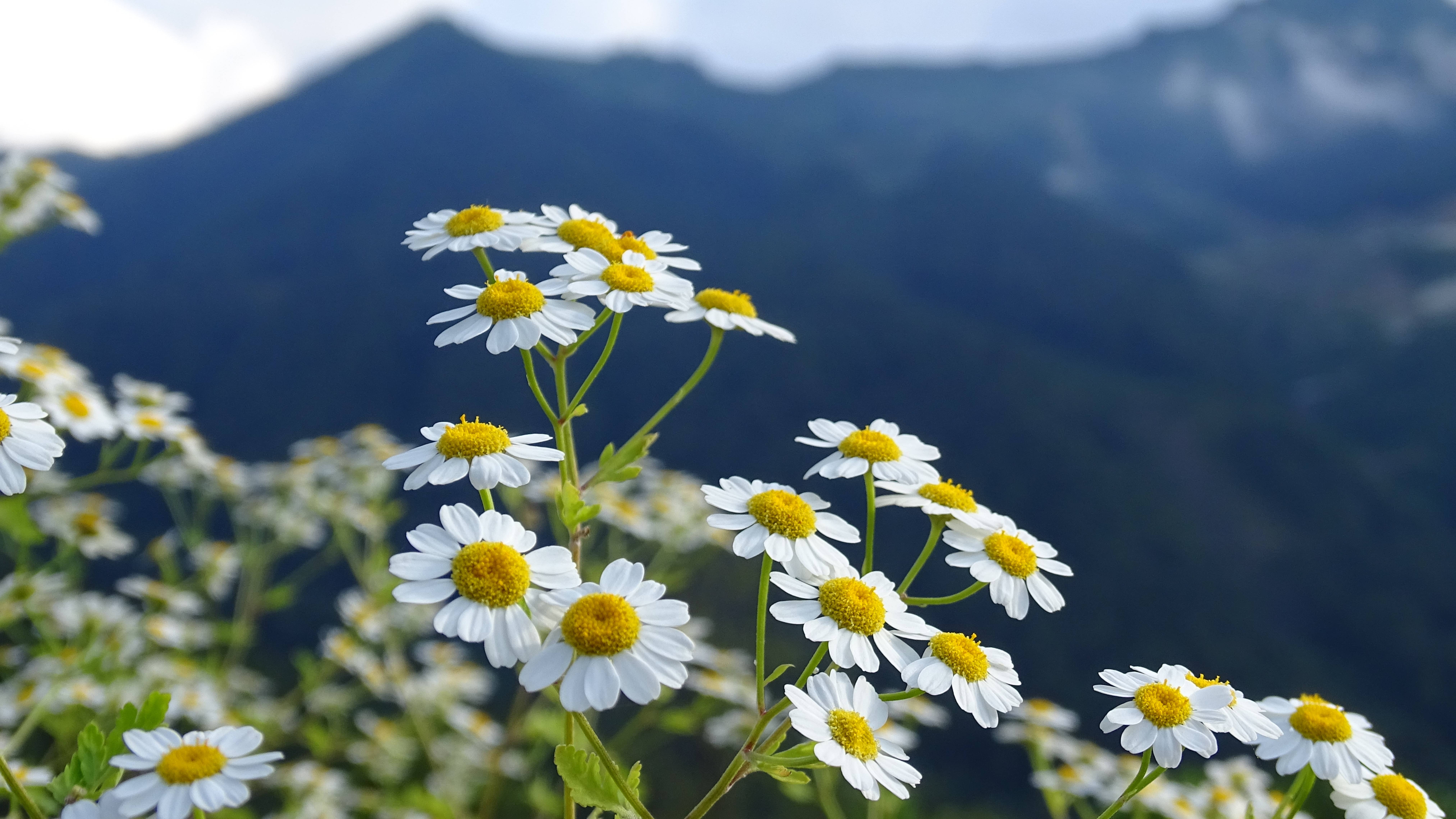 Экспедиция в красивые места Сочи. Каньон Цусхвадж. смотреть онлайн