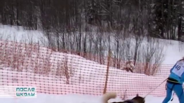 Телепрограмма "После школы", выпуск 15 от 16 ноября 2015 смотреть онлайн